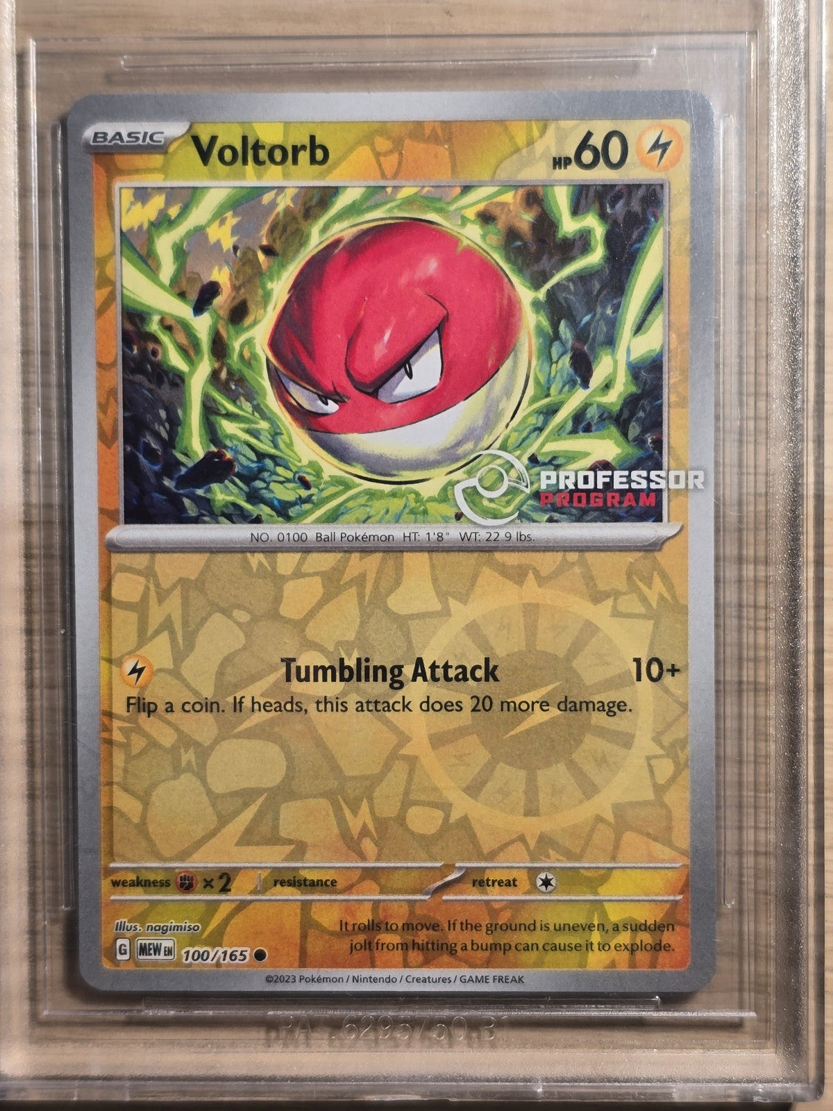 06121dda-8682-4aa4-af51-1954616e96b8